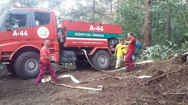 Hatay'ın Amanos Dağları'nda Orman Yangını!