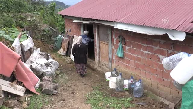 Geçim Kaynağı Olan İneklerini Kaybeden Aileye Sosyal Medyadan Destek Geldi