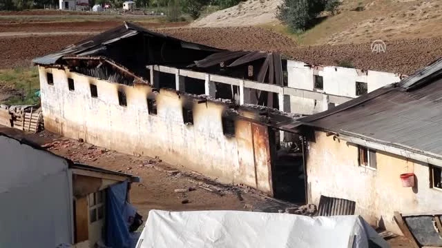 Sivas'ta Korkunç Olay! 83 Koyun Ahırda Çıkan Yangında Telef Oldu
