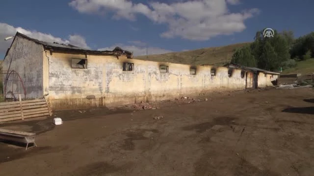 Sivas'ta Korkunç Olay! 83 Koyun Ahırda Çıkan Yangında Telef Oldu