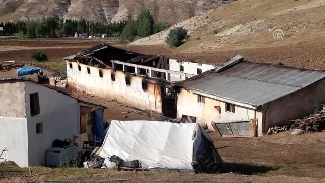 Sivas'ta Korkunç Olay! 83 Koyun Ahırda Çıkan Yangında Telef Oldu