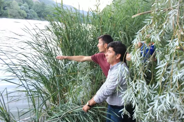 Sakarya Nehri'ne Devrilen Otomobilde Aynı Aileden 3 Kişi Feci Şekilde Can Verdi