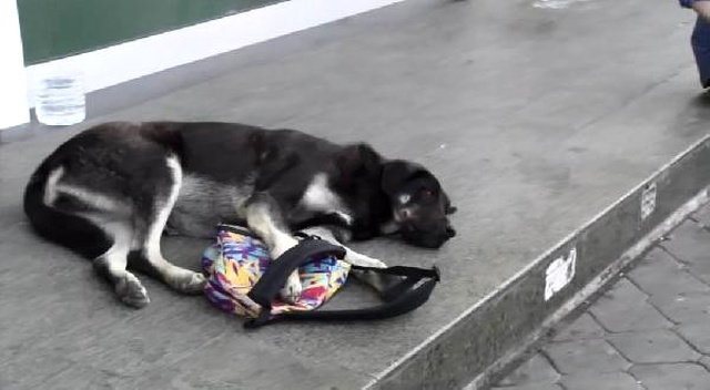 Çantasına El Koyan Köpeği, Sucuklu Simitle Bile İkna Edemedi