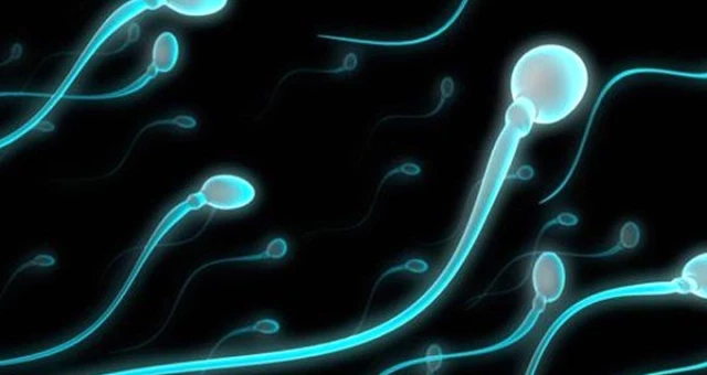 Sperm Sayısı 50 Yılda Yüzde 50 Azaldı! İnsanlığın Sonu Gelebilir