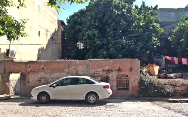 İstanbul'un Gizli Hazinesi Çöplüğe Döndü