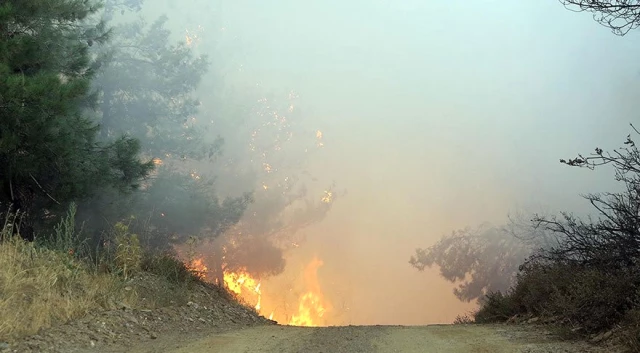 İzmir'deki Orman Yangını Hız Kesmeden İlerliyor! İki Bin Kişi Tahliye Edildi