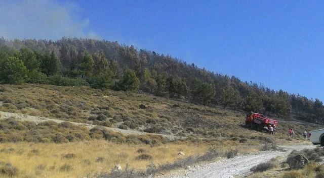 İzmir'deki Orman Yangını Hız Kesmeden İlerliyor! İki Bin Kişi Tahliye Edildi