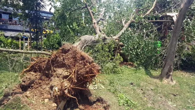 Koşuyolu Parkı'ndaki Yıkım Havadan Görüntülendi