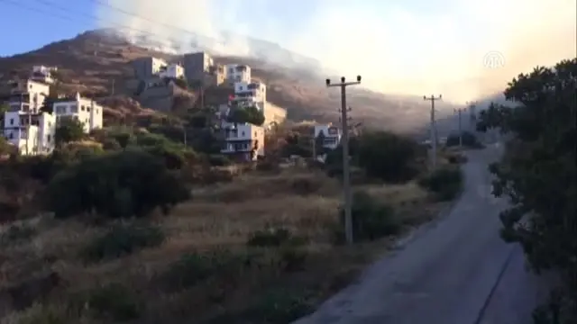 Bodrum'da Makilik Alandaki Yangın, Yerleşim Yerlerini Tehdit Etti