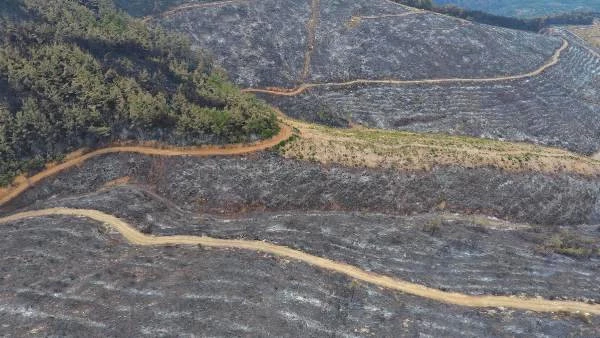 İzmir'deki Orman Yangını Havadan Görüntülendi! 500 Hektar Alan Kül Oldu
