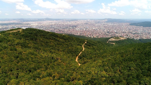 Gözetleme Kulesinde Çalışan Ayda Teyze Aydos Ormanları'na Gözü Gibi Bakıyor