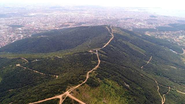 Gözetleme Kulesinde Çalışan Ayda Teyze Aydos Ormanları'na Gözü Gibi Bakıyor