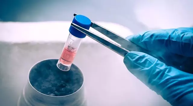 Yakın Gelecekte İnsan Ömrü Uzayabilir!