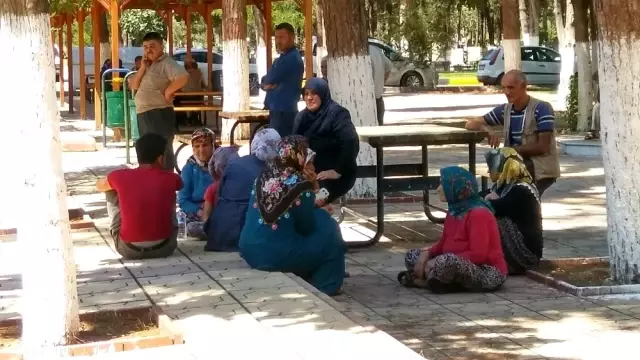 Eşekten Düşen Adam Hayatını Kaybetti