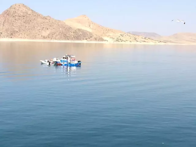 Barajda Dehşet Anları! Yolcuların Gözü Önünde Feribottan Atladı