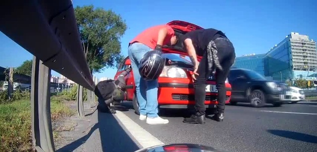 Otomobilin Motoruna Sıkışan Kedi, E-5 Trafiğini Birbirine Kattı