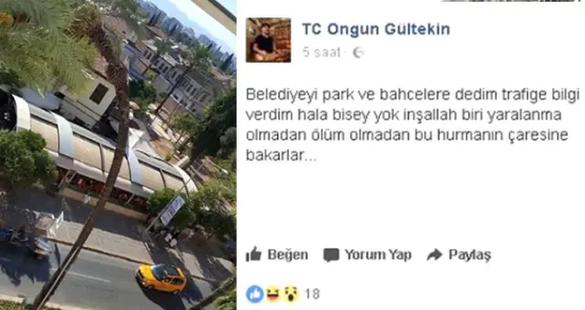 Sosyal Medyadan Uyarmıştı, 3 Saat Sonra Ağaç Otomobilin Üstüne Devrildi