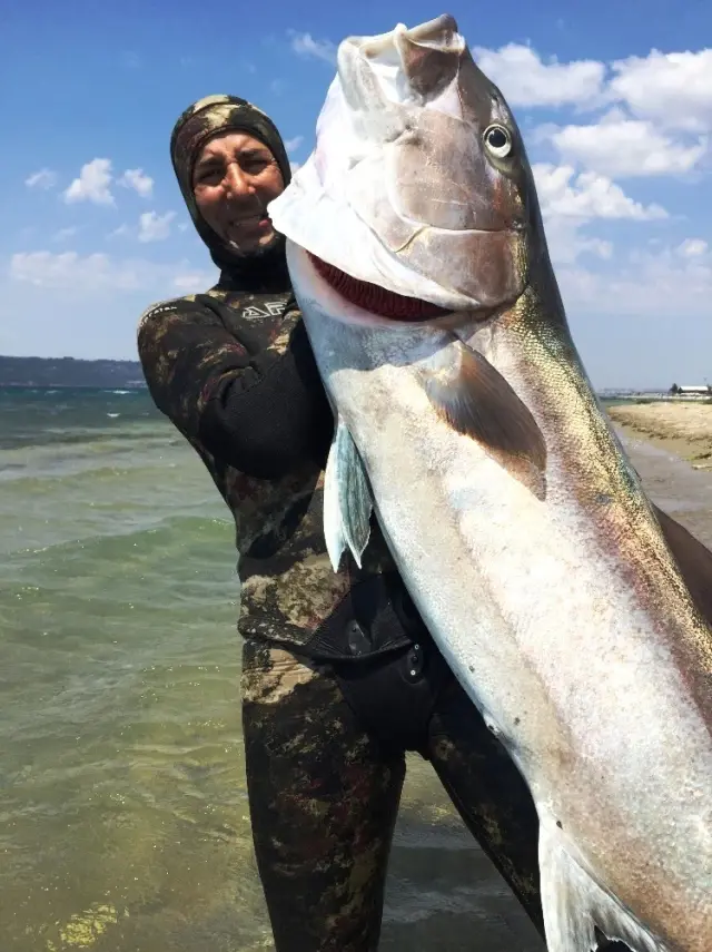 2 Metre Boyundaki 68 Kiloluk Akya Balığını Zıpkınla Avladı