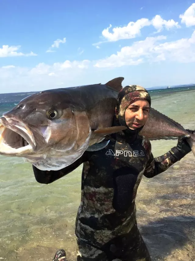 2 Metre Boyundaki 68 Kiloluk Akya Balığını Zıpkınla Avladı