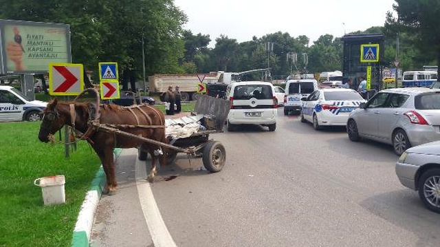 Hırsızlıktan Aranan Hurdacı, Kaçarken Polis Aracına Çarpıp Atını Yaraladı