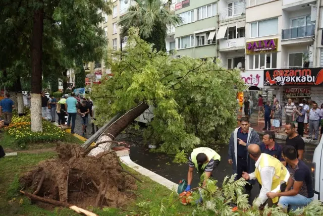 Şiddetli Rüzgara Dayanamayan Ağaç, Minibüsün Üstüne Devrildi