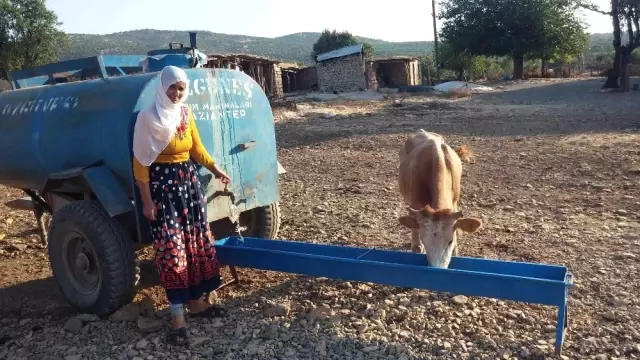 150 Yıldır Su Sorunu Olan Köylerine, Eşek Sırtında Su Taşıyorlar