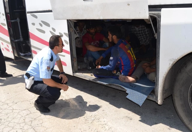 Yolcu Otobüsünde 119 Kaçak Göçmen Yakalandı, 20'si Otobüsün Bagajından Çıktı