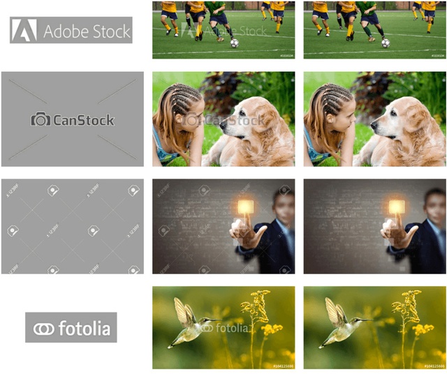 Stok Fotoğraf Siteleri Şimdi Yandı!