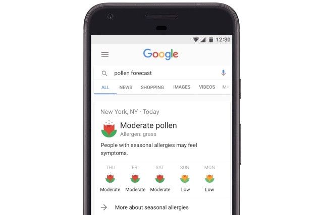 Google'dan <a class='keyword-sd' href='/alerji/' title='Alerji'>Alerji</a> Servisi!