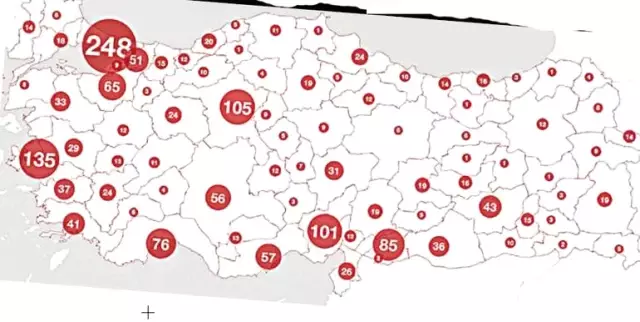 Kadın Cinayetlerinde İstanbul İlk Sırayı Aldı! Tam 248 Cinayet