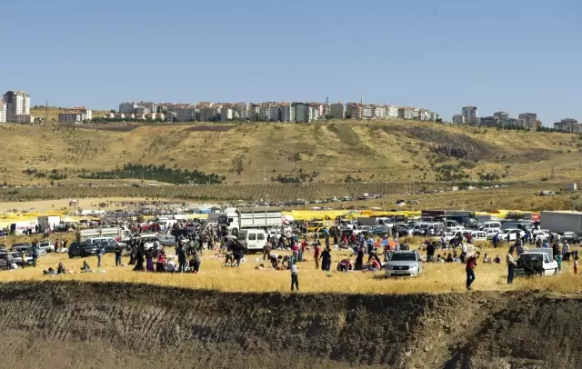 Sahibinin Elinden Kurtulan Boğa, Yaşlı Adama Çarptı: İki Kolu da Kırıldı