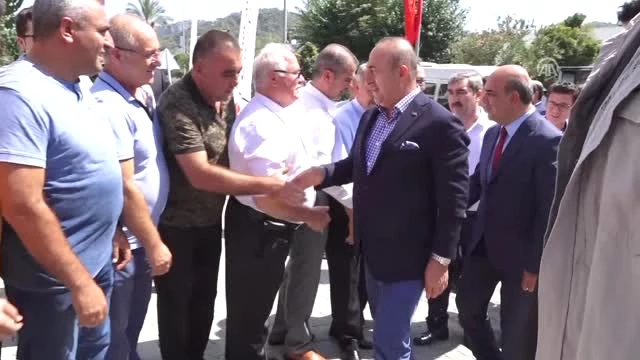 Çavuşoğlu: 