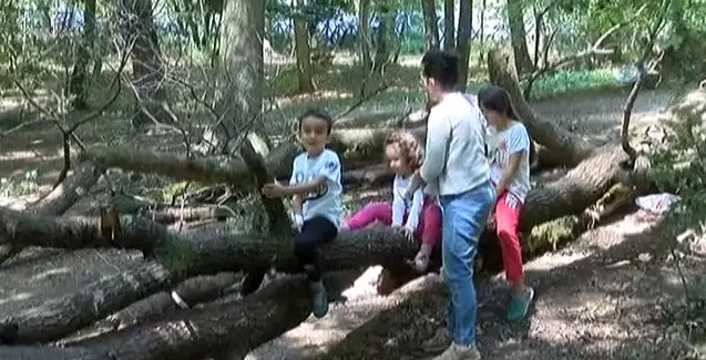 Bayramda Tatile Gidemeyen İstanbullular, Soluğu Belgrad Ormanı'nda Aldı