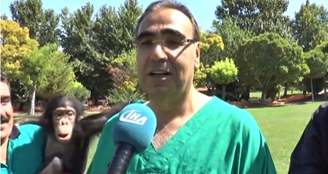 Şempanze Can'a