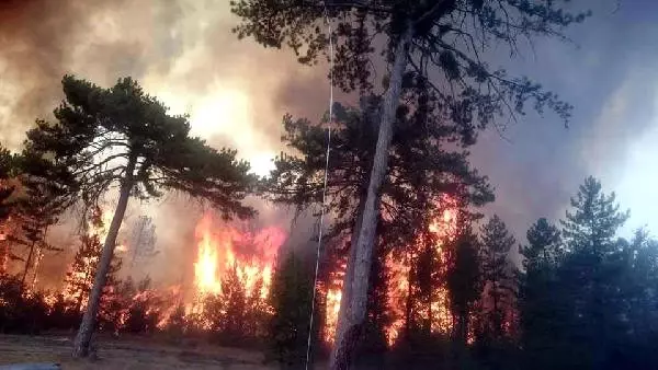 Bolu'daki Orman Yangını Büyüyor, Mahalle Boşaltıldı