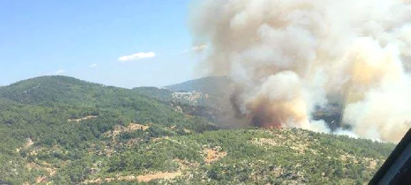 Muğla'da Ormanlık Alandaki Yangın Uzun Uğraşlar Sonrası Kontrol Altına Alındı