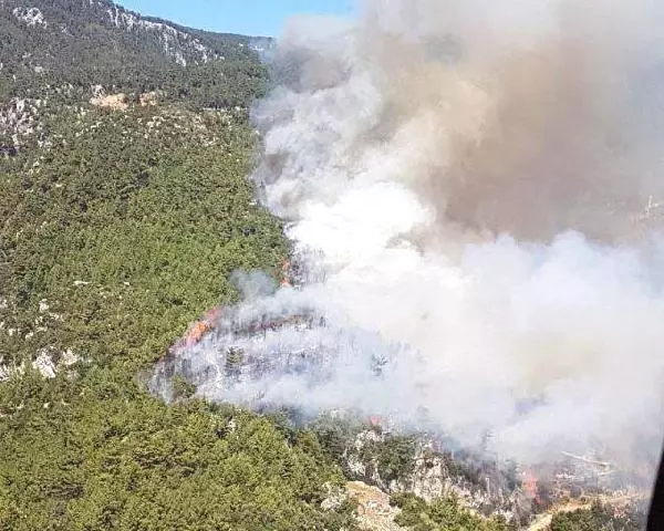 Muğla'da Ormanlık Alandaki Yangın Uzun Uğraşlar Sonrası Kontrol Altına Alındı