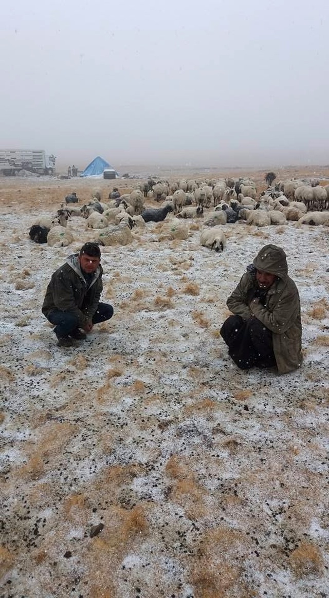 Erzurum'un Yüksek Kesimlerine Kar Yağdı