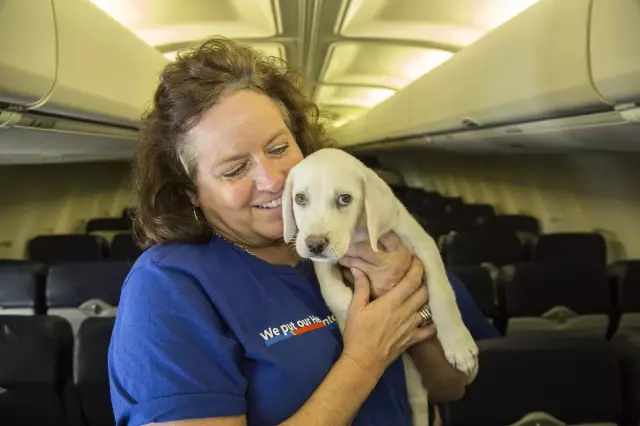 Uçak Bu Sefer Hayvanlar İçin Havalandı: 64 Öksüz Kedi ve Köpek Kurtarıldı