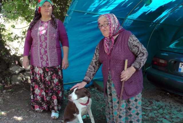 Köpeği Öldürülen 80 Yaşındaki Hacer Nine: Beni Köpeğimin Yanına Gömün