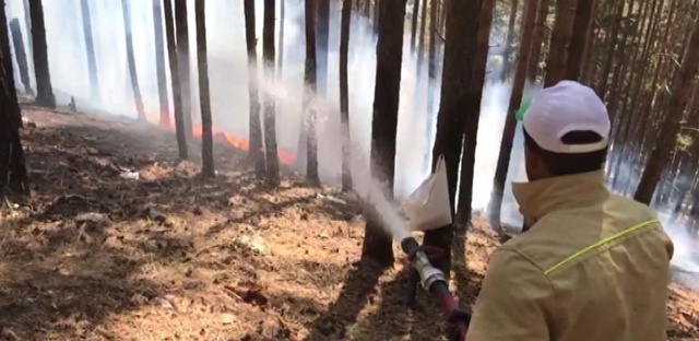 Sarıkamış'ta Yangın Yeniden Başladı, Ormanlar Cayır Cayır Yanıyor!