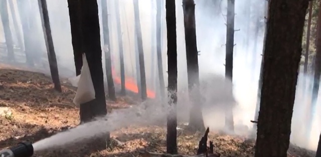 Sarıkamış'ta Yangın Yeniden Başladı, Ormanlar Cayır Cayır Yanıyor!