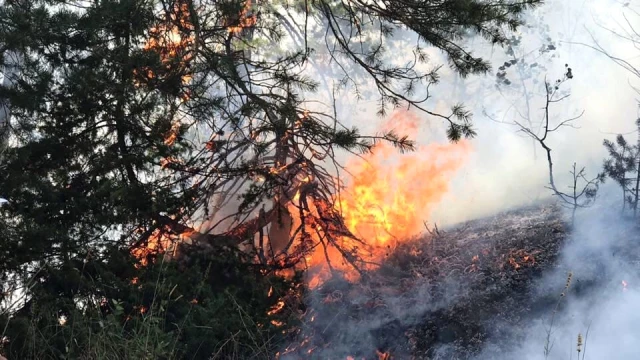 Sarıkamış Halkı, 3 Gündür Süren Orman Yangınını Söndürmek İçin Mücadele Veriyor