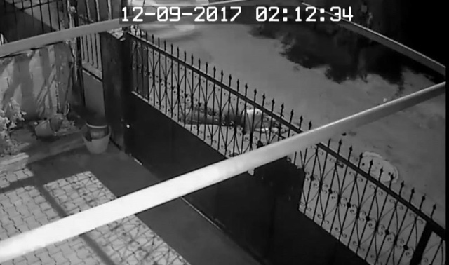 Adana'da Vahşet! Dövüp Gasp Ettikleri Şahsın Otomobil ile Üzerinden Geçtiler