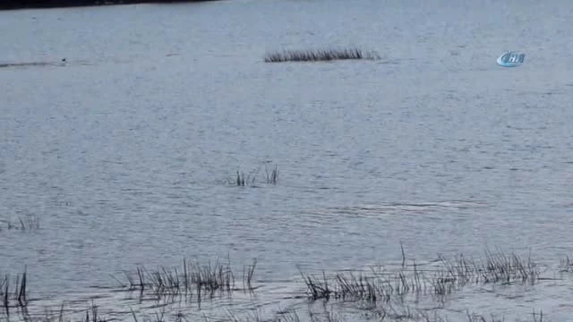 Çıldır Gölü Son 10 Yılın En Kurak Dönemini Yaşıyor! Su 4 Metre Çekildi