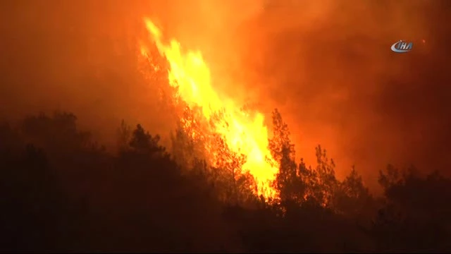 Karabük'teki Orman Yangını Rüzgarın Etkisiyle Büyüyor