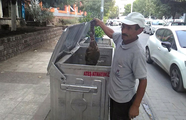 Kedi Ölüsünü <a class='keyword-sd' href='/bebek/' title='Bebek'>Bebek</a> Cesedi Sandı, Ortalık Ayağa Kalktı