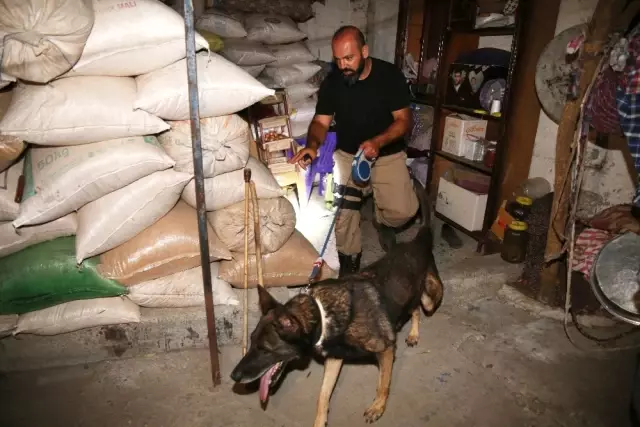 Uyuşturucu Tacirleri, Yatak Odasındaki Askıda Esrar Kurutmuş