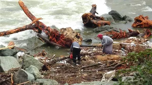 Rize'de Selin Sürüklediği Odunları Gören Vatandaşlar, Kışlık Yakacak Telaşına Düştü