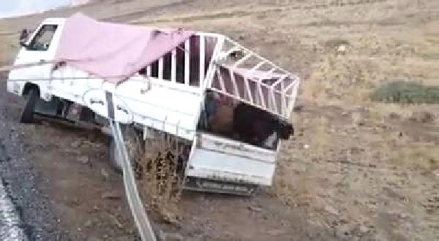 Şanlıurfa'da Kaza Yapan İçi Hayvan Dolu Kamyonet, Vatandaşların Yardımıyla Kurtarıldı